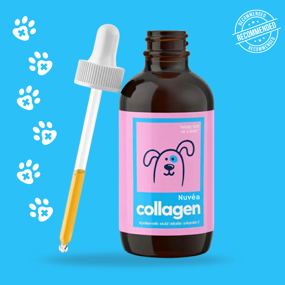 Colágeno NuvéaPets™ para Aliviar la Picazón